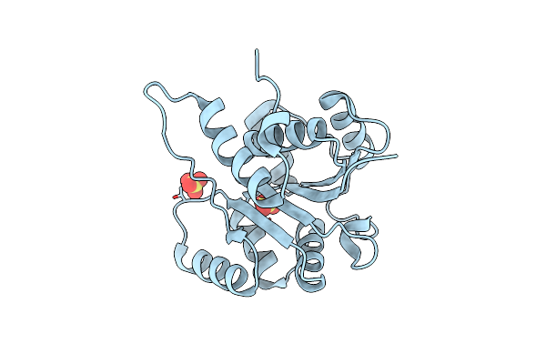 4RHF image