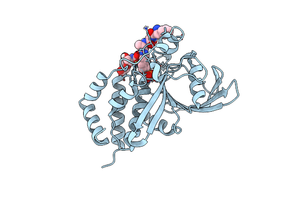 4RHG image