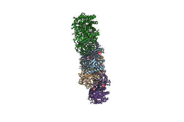 4RHH image