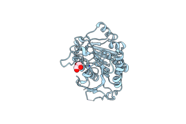 4RHK image