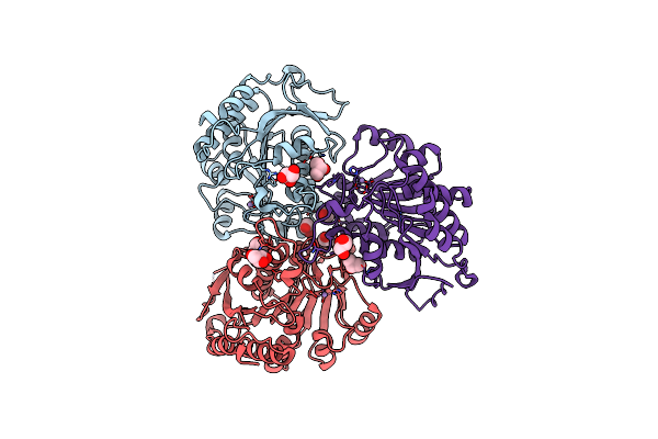 4RHM image