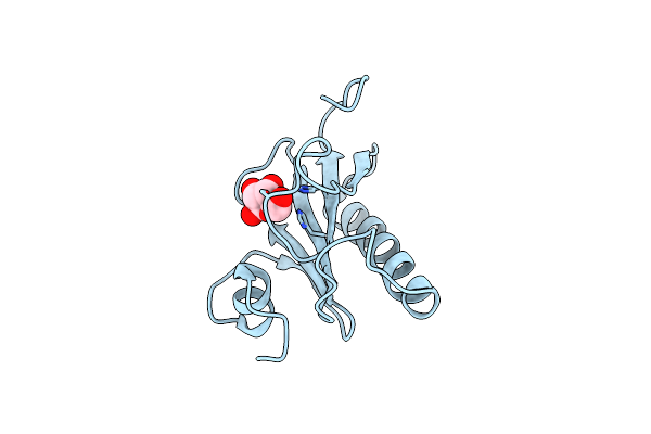 4RHN image