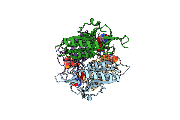 4RHT image