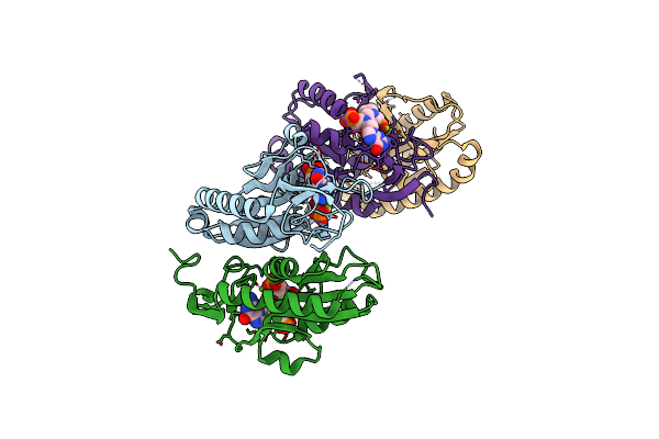 4RHX image