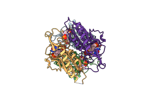 4RHY image