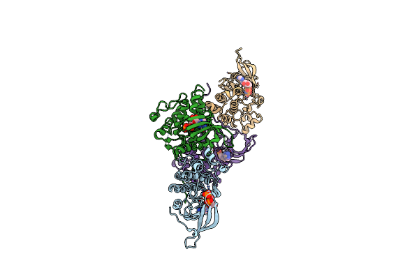 4RIW image