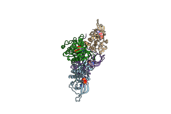 4RIX image
