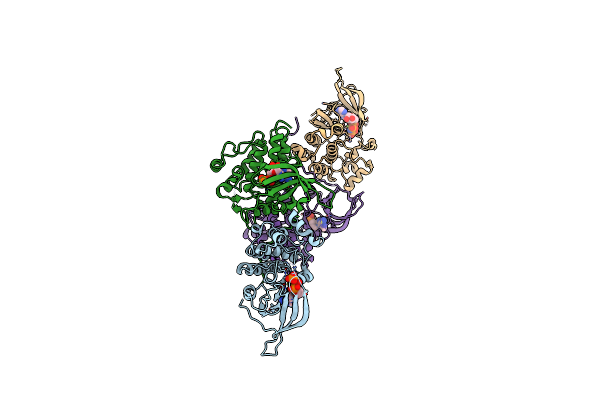 4RIY image