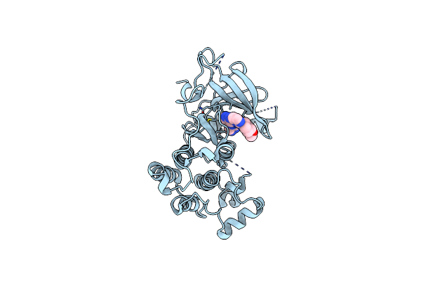 4RJ5 image