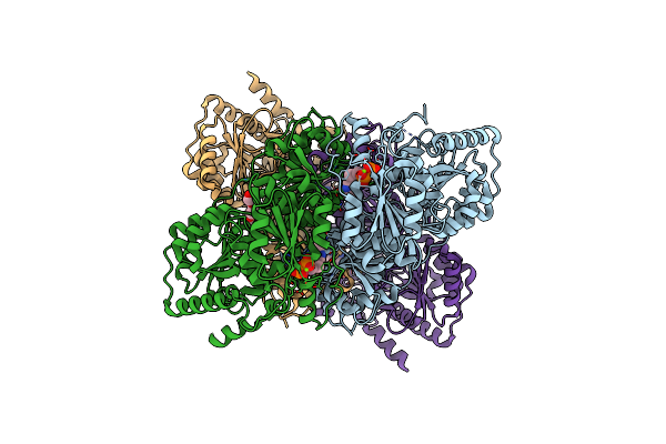 4RJI image