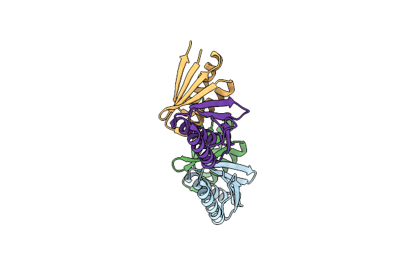 4RJV image