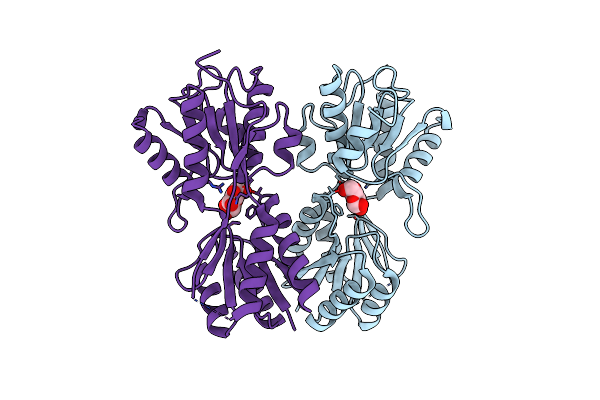 4RK6 image