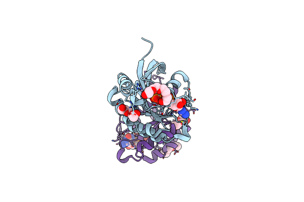4RKF image