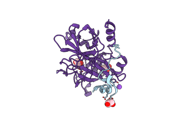 4RKJ image