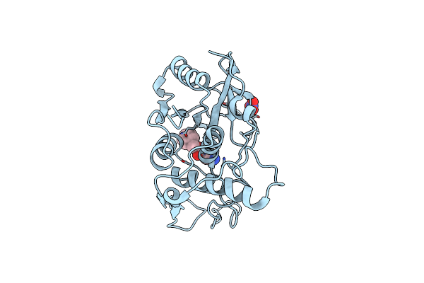 4RKX image