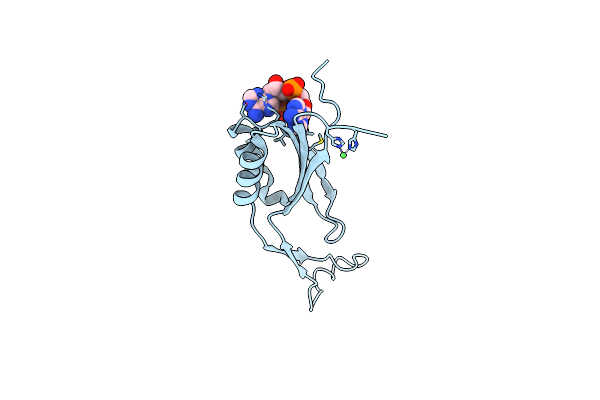 4RLE image