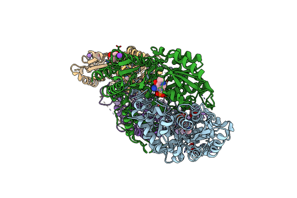 4RLG image