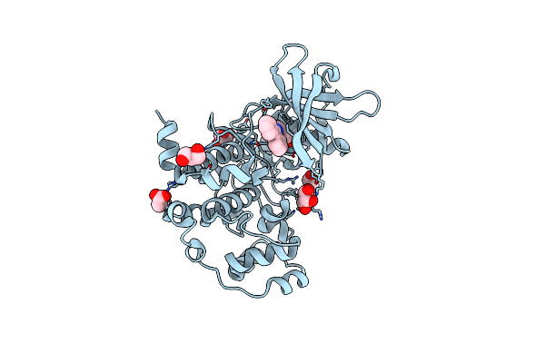 4RLK image