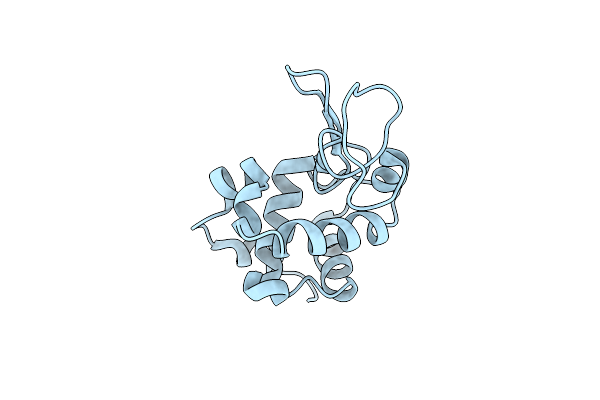 4RLM image