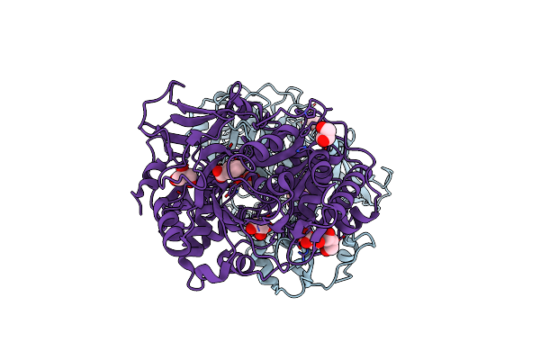 4RLQ image