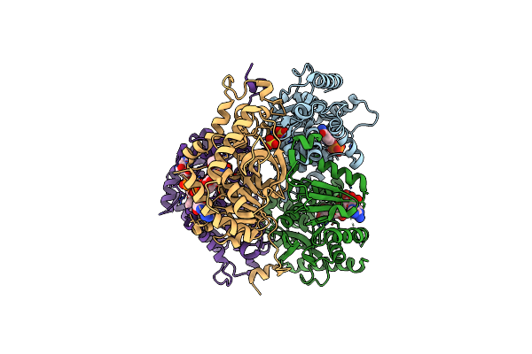 4RLS image