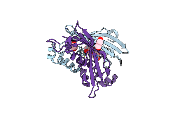 4RLT image