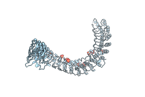 4RLV image