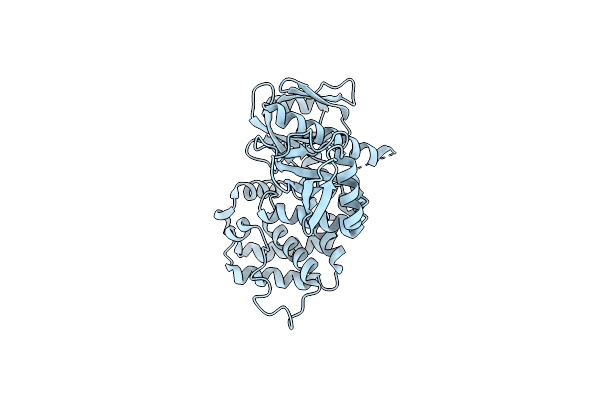 4RM9 image