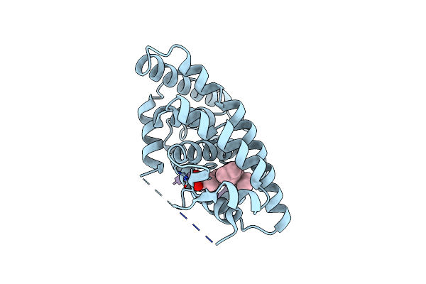 4RMC image