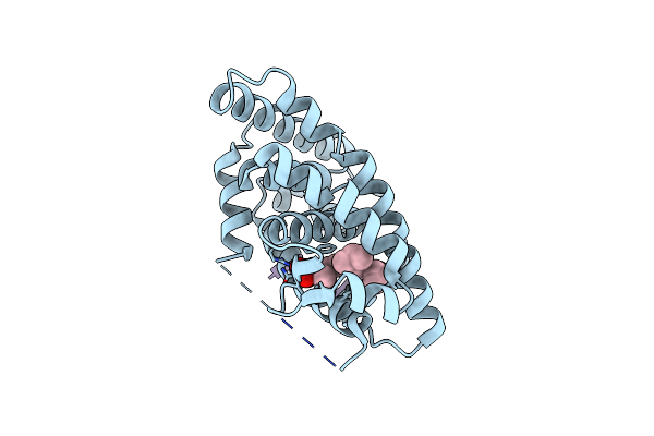 4RMD image