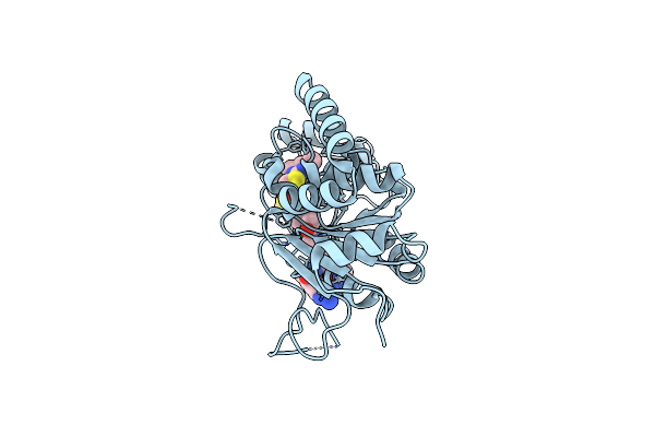 4RMI image