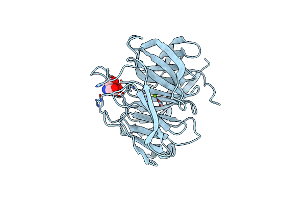 4RML image