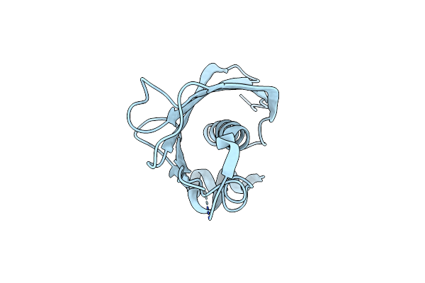 4RMM image