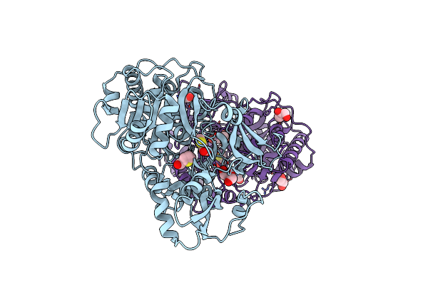 4RMN image