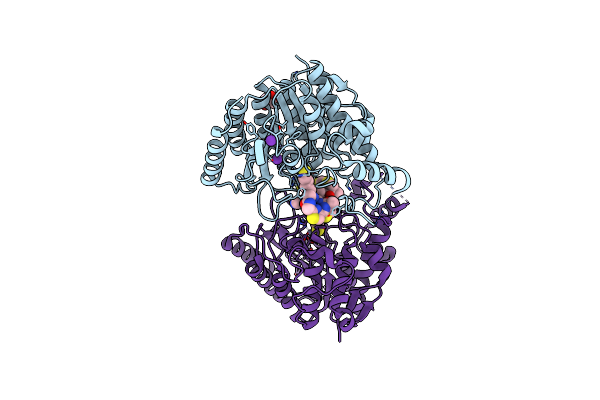 4RN0 image