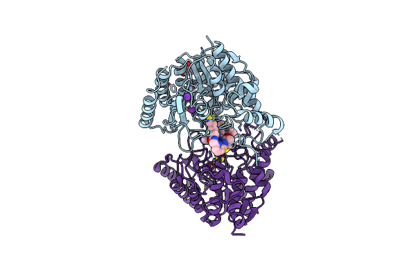 4RN1 image
