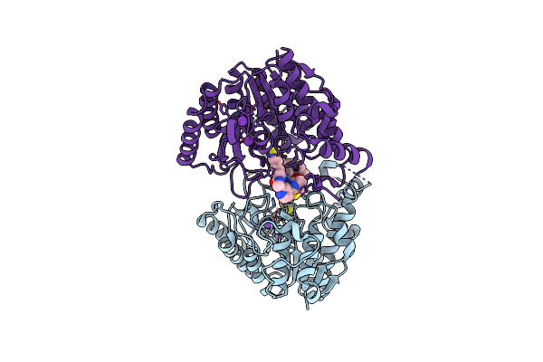 4RN2 image