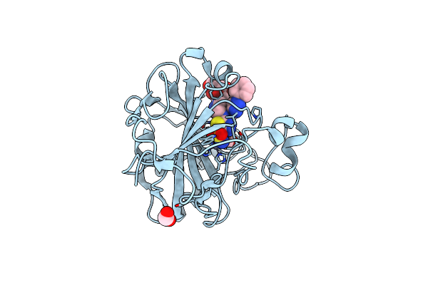 4RN4 image