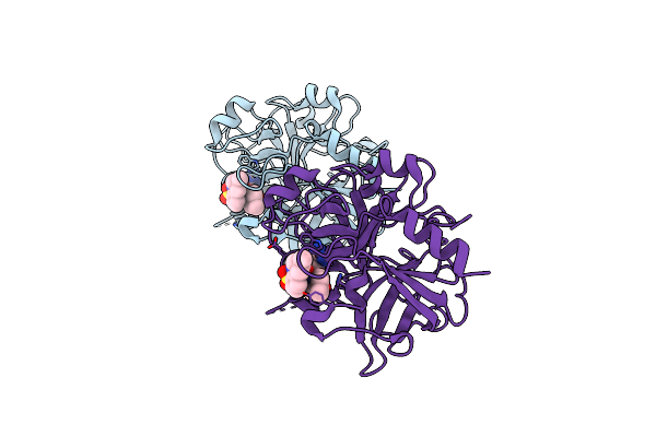 4RN6 image