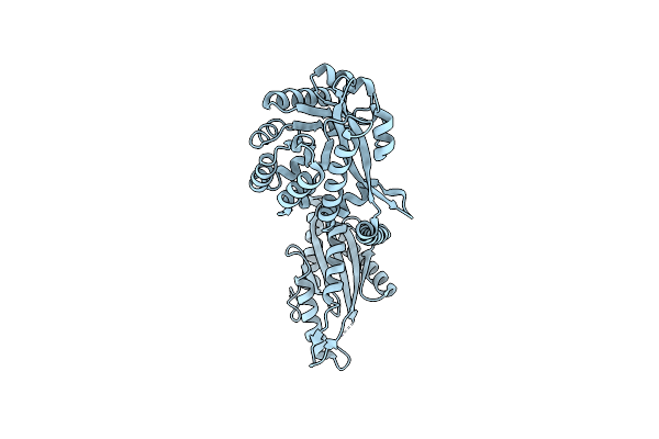 4RNF image