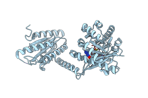 4RNH image