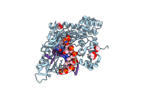 4RNN image