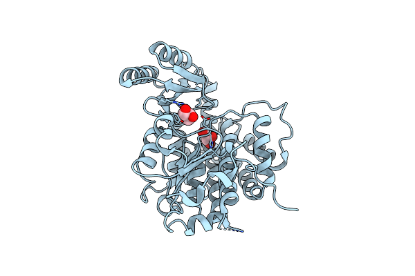 4RO5 image