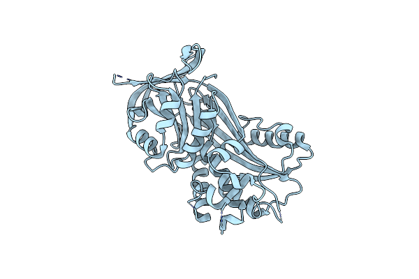 4ROA image