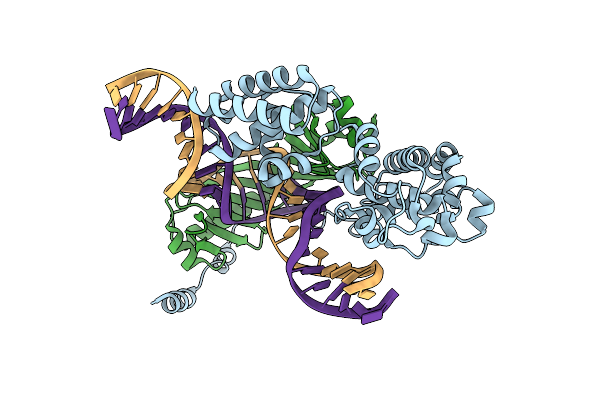 4ROD image