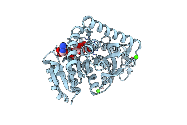 4ROS image
