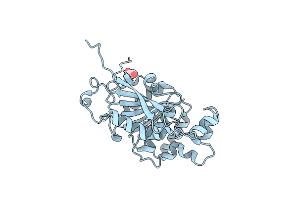 4ROT image