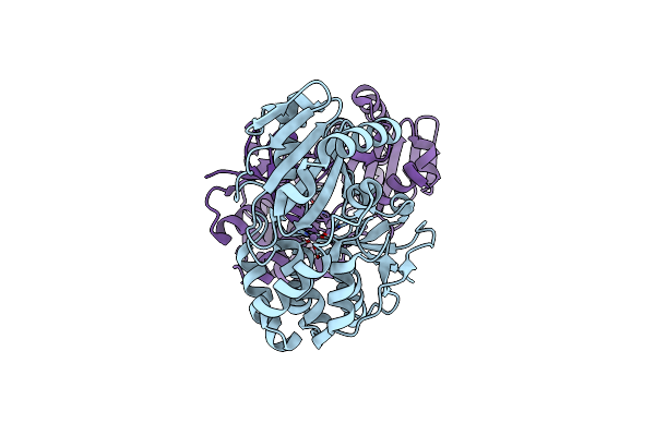 4RPA image