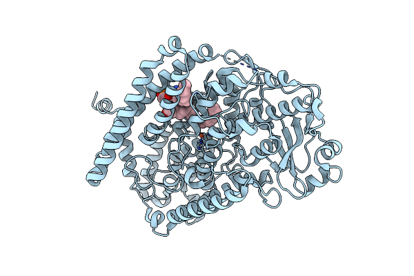 4RPE image