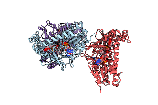 4RPH image